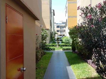 place photo 28