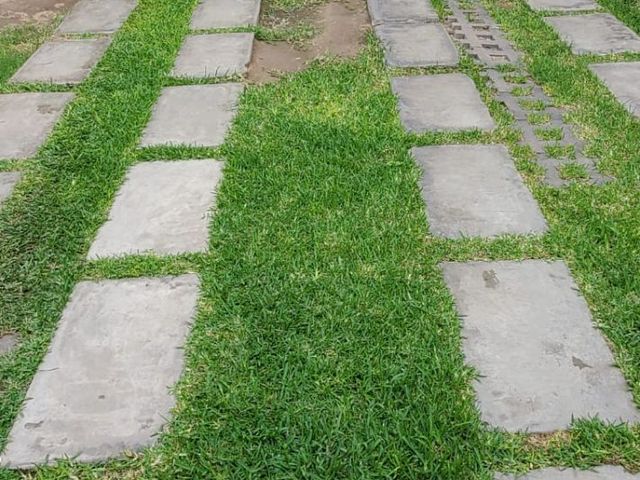 place photo 30