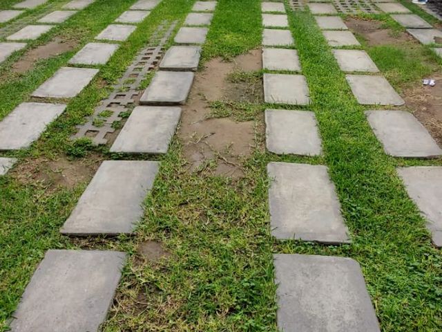 place photo 31