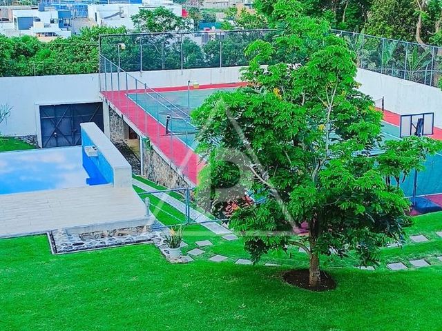 place photo 65