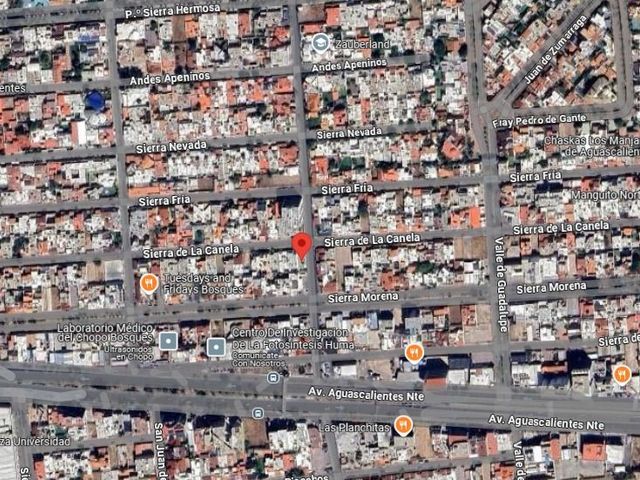 place photo 17