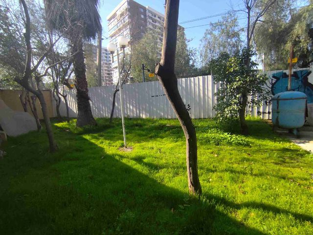 place photo 36