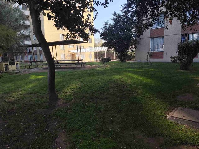 place photo 45
