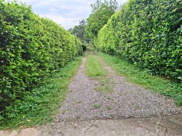 place photo 41