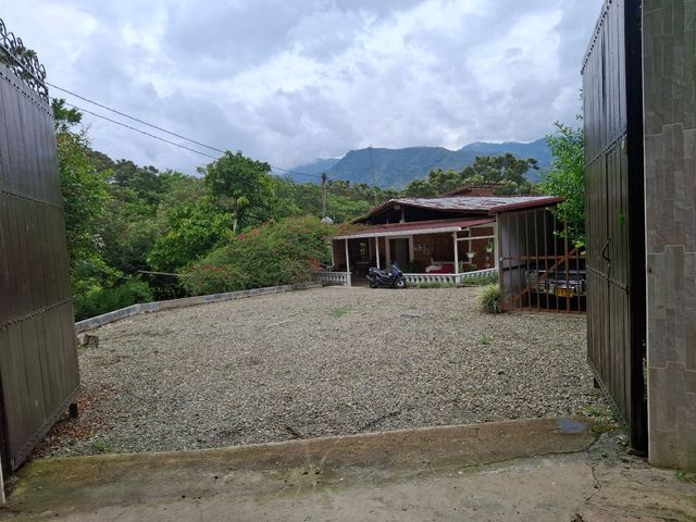 place photo 42