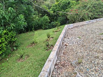 place photo 50