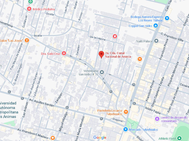 place photo 19