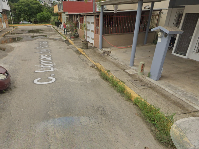 place photo 4