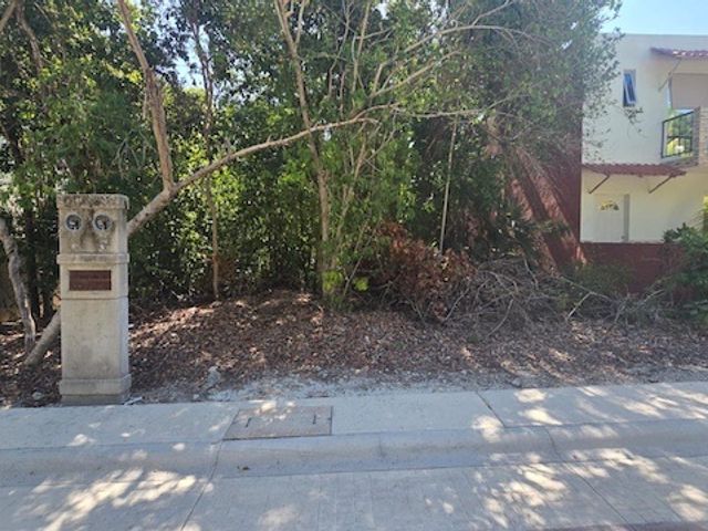 place photo 26