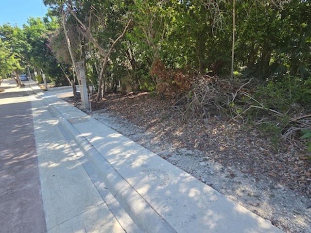 place photo 28