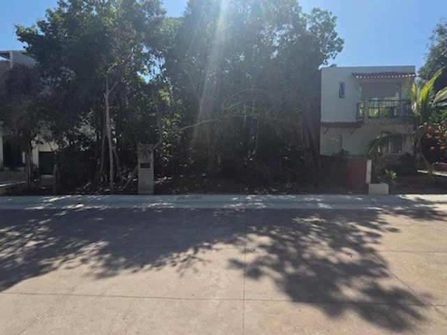 place photo 23