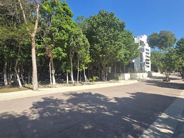 place photo 17