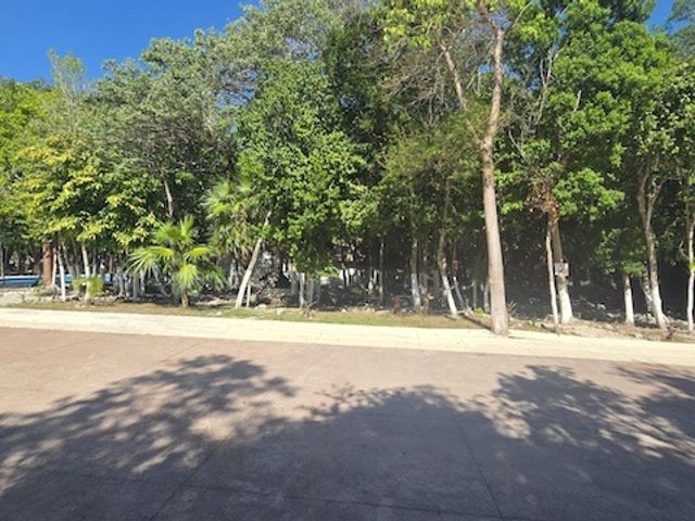 place photo 21