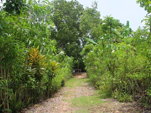 place photo 18