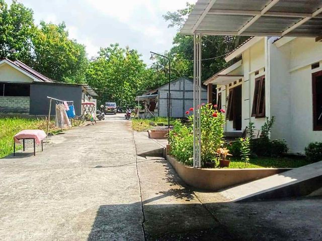 place photo 4