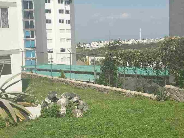 place photo 16