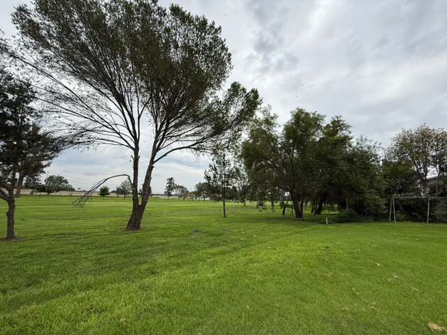 place photo 23