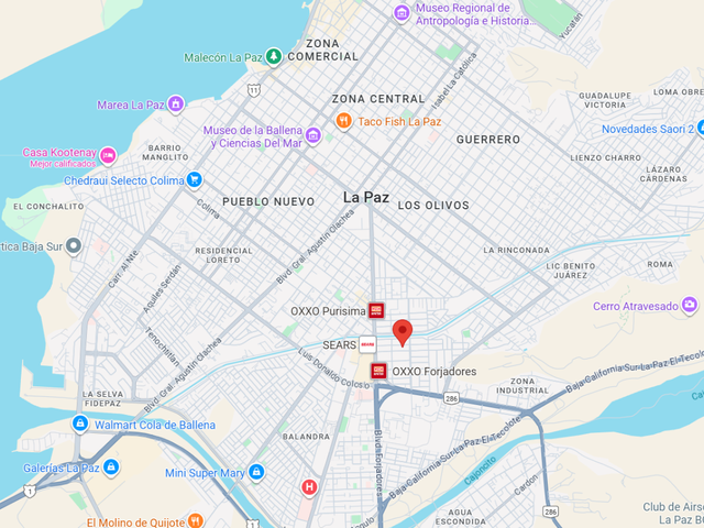 place photo 16