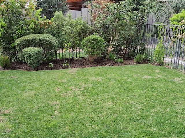 place photo 25