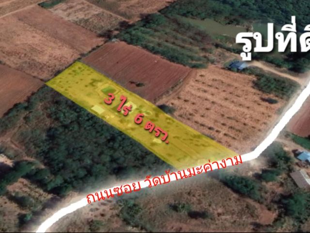 place photo 11