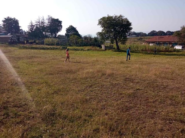 place photo 20