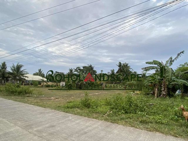 place photo 14