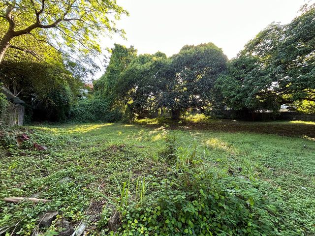 For Sale Lot in Ayala Alabang Village, Muntinlupa City - RR468
