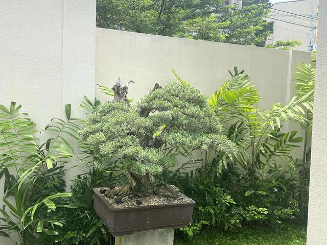 place photo 42