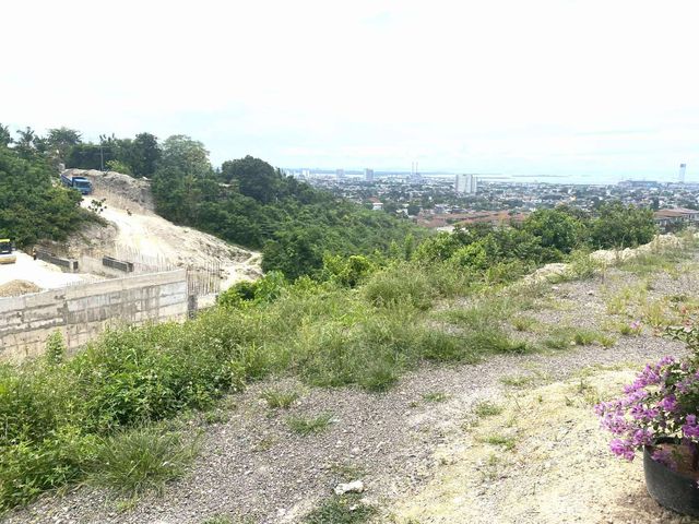 place photo 49