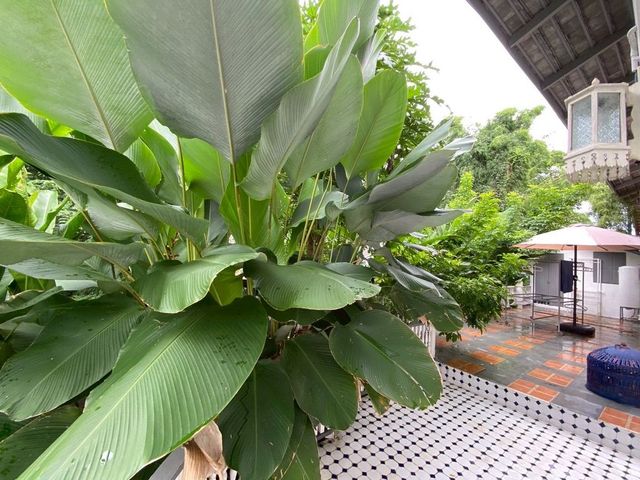 place photo 58