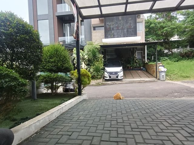 place photo 18
