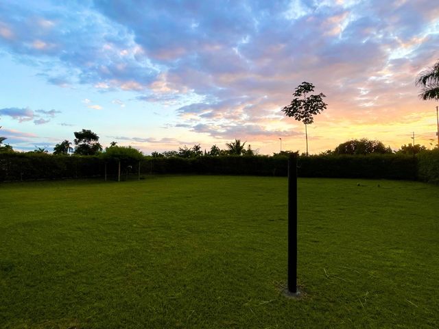 place photo 46