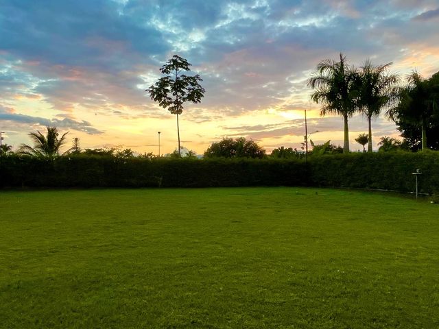 place photo 49