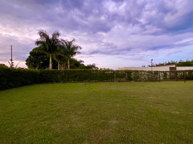 place photo 62