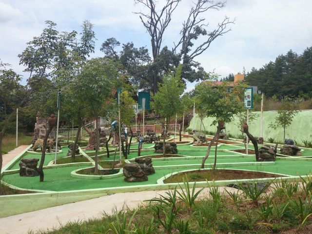 place photo 27