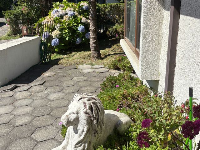 place photo 31