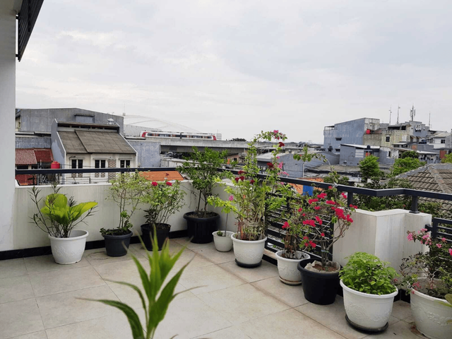 place photo 13