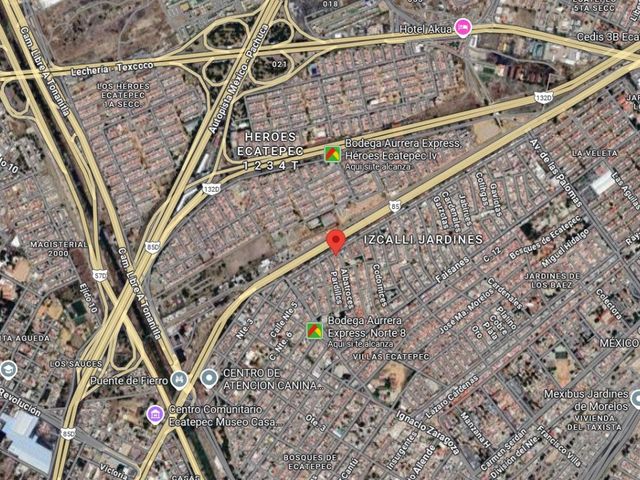 place photo 6