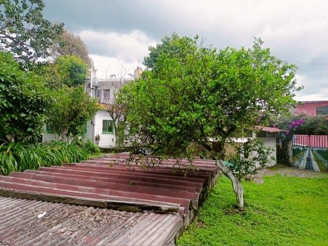 place photo 34