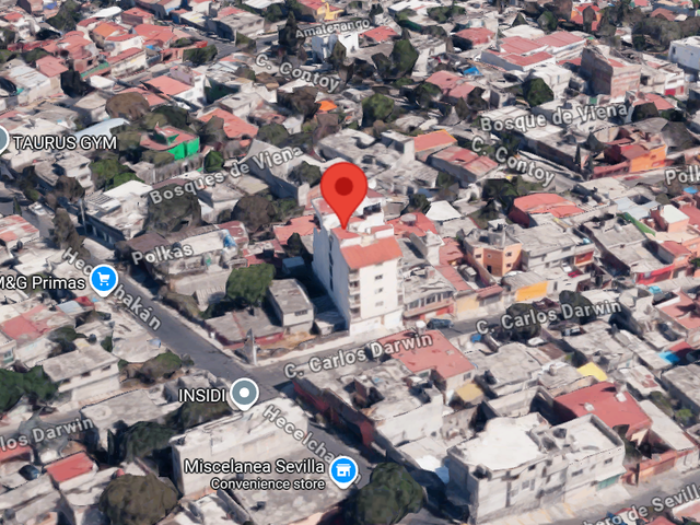 place photo 11