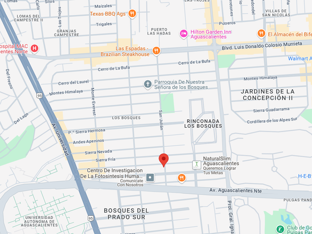 place photo 11