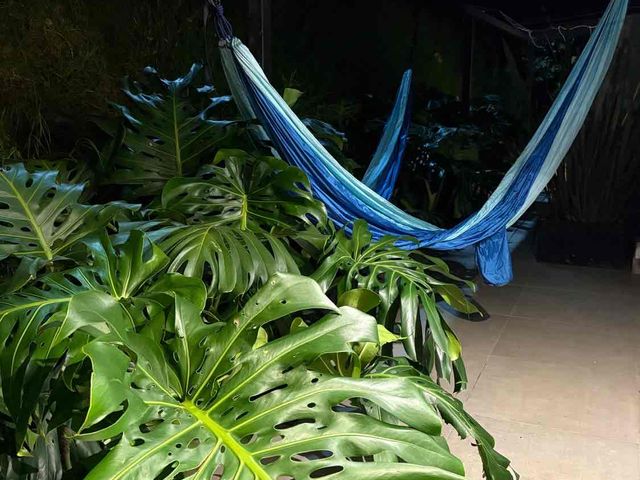place photo 32