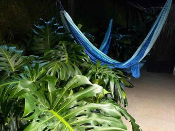 place photo 32