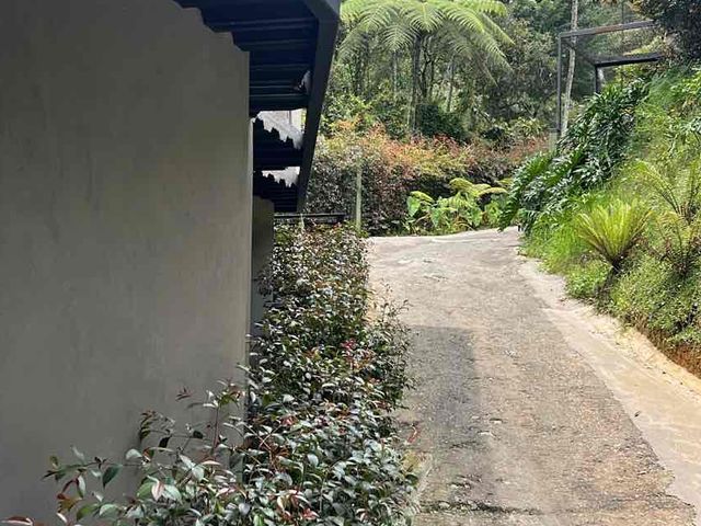 place photo 34