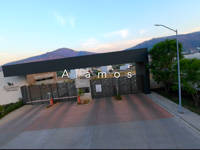 place photo 28