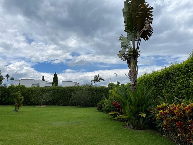 place photo 49