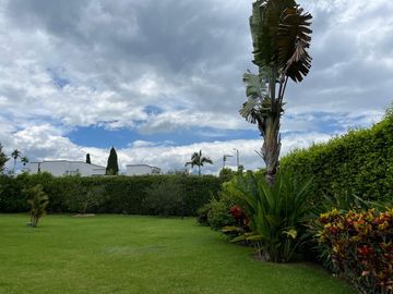 place photo 49