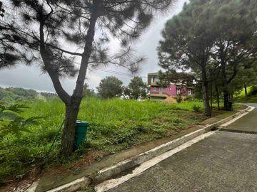 place photo 20
