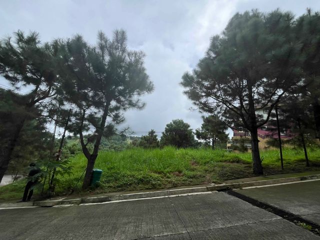 place photo 21