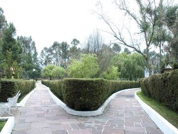 place photo 38